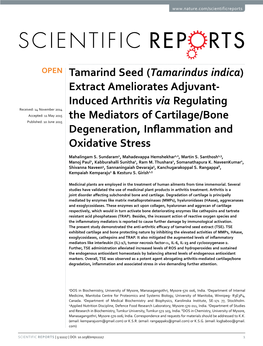 Induced Arthritis Via Regulating the Mediators of Cartilage/Bone Degeneration, Inflammation and Oxidative Stress