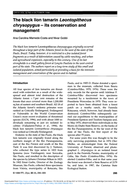 The Black Lion Tamarin Leontopithecus Chrysopygus - Its Conservation and Management