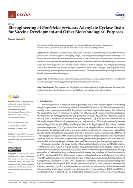 Bioengineering of Bordetella Pertussis Adenylate Cyclase Toxin for Vaccine Development and Other Biotechnological Purposes