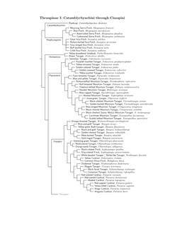 Thraupinae Species Tree