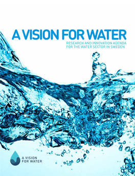 A Vision for Water Research and Innovation Agenda for the Water Sector in Sweden