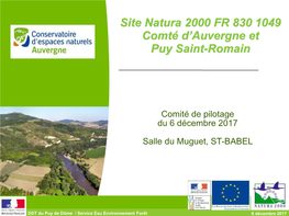 Site Natura 2000 FR 830 1049 Comté D'auvergne Et Puy Saint-Romain