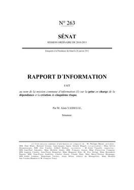 Rapport D´Information