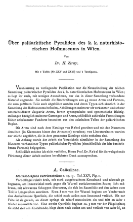 Über Paläarktische Pyraliden Des K. K. Naturhisto- Rischen Hofmuseums in Wien