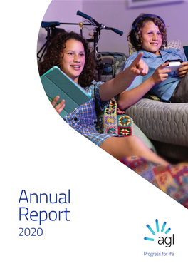 2020 Annual Report