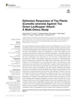 Against Tea Green Leafhopper Attack: a Multi-Omics Study
