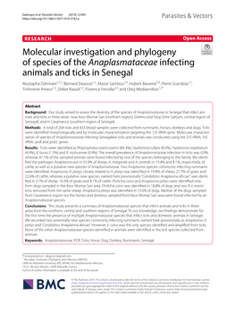 Molecular Investigation and Phylogeny of Species of The