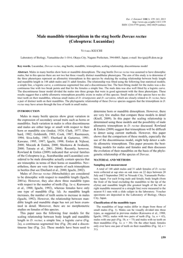 Male Mandible Trimorphism in the Stag Beetle Dorcus Rectus (Coleoptera: Lucanidae)