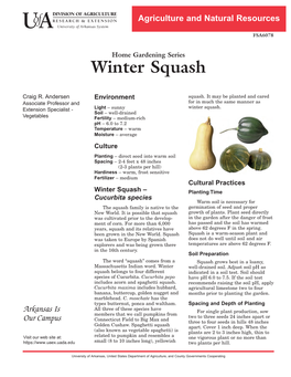 Winter Squash