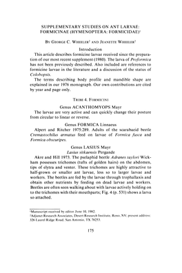 Supplementary Studies on Ant Larvae: Formicinae (Hymenoptera: Formicidae)