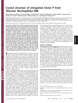 Crystal Structure of Elongation Factor P from Thermus Thermophilus HB8