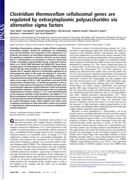 Clostridium Thermocellum Cellulosomal Genes Are Regulated by Extracytoplasmic Polysaccharides Via Alternative Sigma Factors