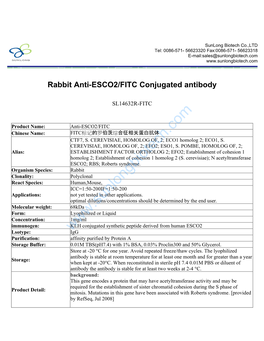 Rabbit Anti-ESCO2/FITC Conjugated Antibody