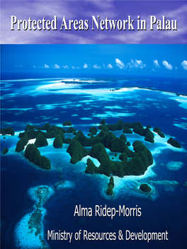 Protected Areas Network in Palau