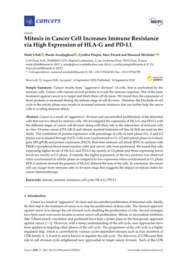 Mitosis in Cancer Cell Increases Immune Resistance Via High Expression of HLA-G and PD-L1