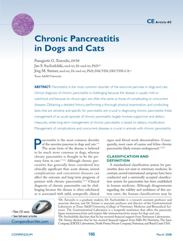 Chronic Pancreatitis in Dogs and Cats