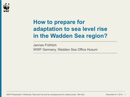 How to Prepare for Adaptation to Sea Level Rise in the Wadden Sea Region?