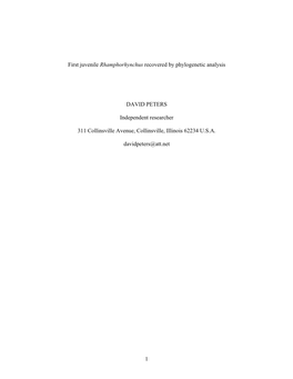 1 First Juvenile Rhamphorhynchus Recovered by Phylogenetic Analysis DAVID PETERS Independent Researcher 311 Collinsville Avenue