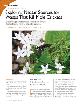 Exploring Nectar Sources for Wasps That Kill Mole Crickets Identifying Nectar Sources Could Help Spread This Biological Control of Mole Crickets