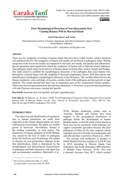 First Morphological Detection of Non-Quarantine Pest Causing Banana Wilt in Morotai Island