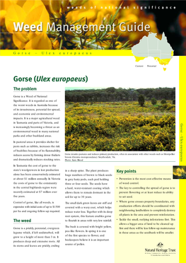 Gorse (Ulex Europaeus) the Problem