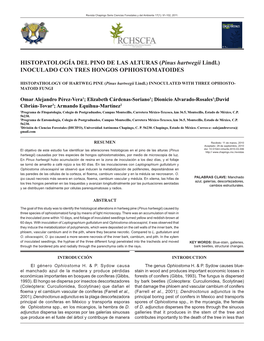 Pinus Hartwegii Lindl.) INOCULADO CON TRES HONGOS OPHIOSTOMATOIDES