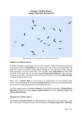 Singapore Raptor Report Spring Migration, March 2014