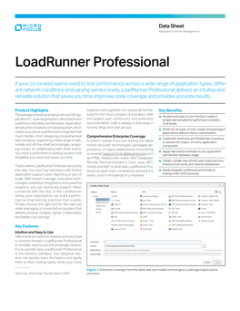 Loadrunner Professional Data Sheet