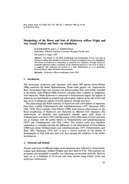 Hydrocera Triflora That Escaped the Attention of Earlier Investigators Have Been Highlighted