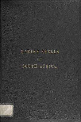 Marine Shells of South Africa