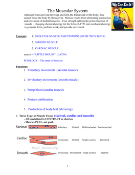 The Muscular System Although Bones Provide Leverage and Form the Framework of the Body, They Cannot Move the Body by Themselves