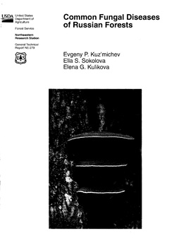 Common Fungal Diseases of Russian Forests, Including Diagnostic Signs and Symptoms, Pathogen Biology, Damage Caused by the Disease, and Methods of Control