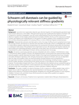 Schwann Cell Durotaxis Can Be Guided by Physiologically Relevant Stiffness Gradients Elisabeth B