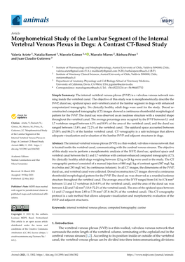 Morphometrical Study of the Lumbar Segment of the Internal Vertebral Venous Plexus in Dogs: a Contrast CT-Based Study