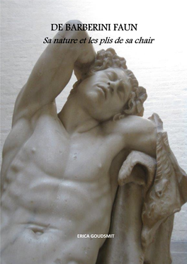 DE BARBERINI FAUN Sa Nature Et Les Plis De Sa Chair