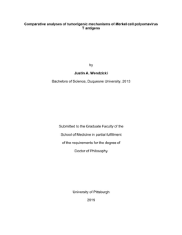 Comparative Analyses of Tumorigenic Mechanisms of Merkel Cell Polyomavirus T Antigens