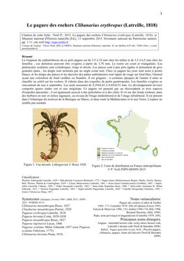 Clibanarius Erythropus INPN Aactualiser