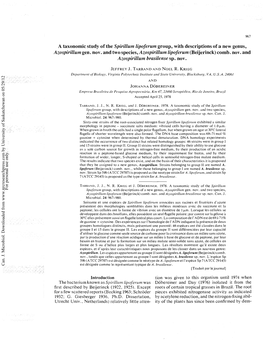 A Taxonomic Study of the Spirillum Lipoferum Group, with Descriptions of a New Genus, Azospirillum Gen. Nov. and Two Species, Azospirillum Lipoferum (Beijerinck) Comb