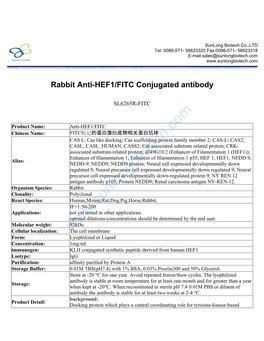 SL6265R-FITC.Pdf