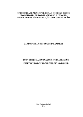 Universidade Municipal De São Caetano Do Sul Pró-Reitoria De Pós-Graduação E Pesquisa Programa De Pós-Graduação Em Comunicação