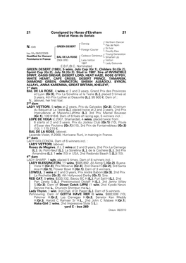 21 Consigned by Haras D'etreham 21 Bred at Haras Du Berlais