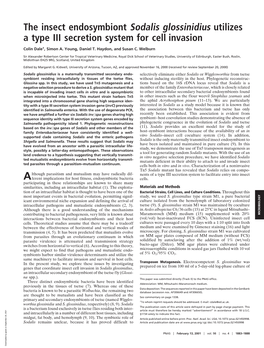 The Insect Endosymbiont Sodalis Glossinidius Utilizes a Type III Secretion System for Cell Invasion