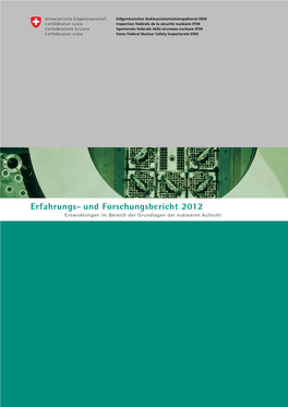 Erfahrungs- Und Forschungsbericht 2012 Entwicklungen Im Bereich Der Grundlagen Der Nuklearen Aufsicht Erfahrungs- Und Forschungsbericht 2012