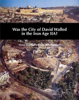 Was the City of David Walled in the Iron Age IIA?