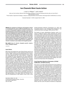 Ion Channels Meet Auxin Action