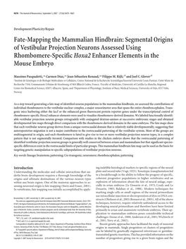 Fate-Mapping the Mammalian Hindbrain