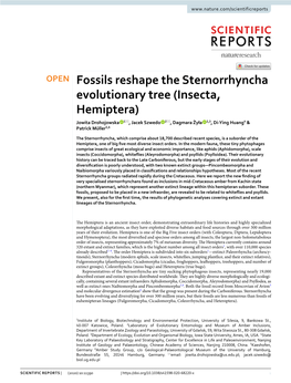 Fossils Reshape the Sternorrhyncha Evolutionary Tree (Insecta, Hemiptera) Jowita Drohojowska 1*, Jacek Szwedo 2*, Dagmara Żyła 2,3, Di‑Ying Huang4 & Patrick Müller5,6