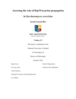 Characterisation of the Role of Hsp70 in Prion Propagation In