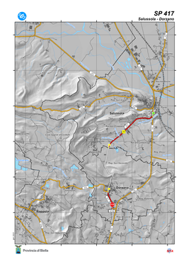 SP 417 Salussola - Dorzano Lunghezza2130 M