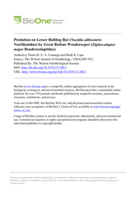 Predation on Lesser Bulldog Bat (Noctilio Albiventris Noctilionidae) by Great Rufous Woodcreeper (Xiphocolaptes Major Dendrocolaptidae) Author(S): Paulo H